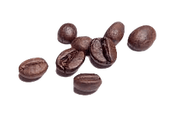 coffee beans used in rise and grind elixirs